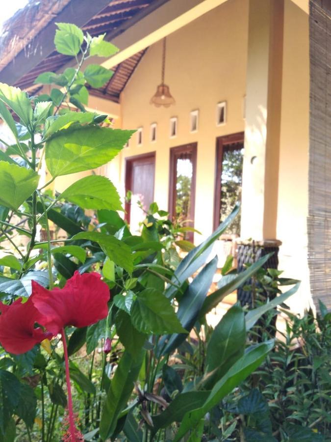 Cewin'S Homestay Kuta  Exterior photo